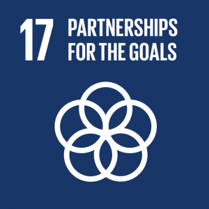 SDG 17 Partnerships Icon